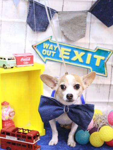 20230401うにちゃん